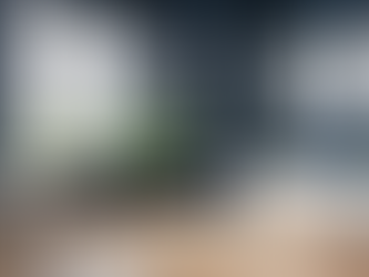 How to Choose the Right Window Treatments for Every Room in Your Home