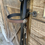 Thumbnail: Standard Bridle
