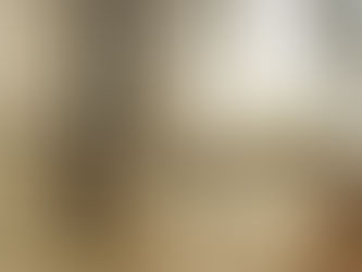 The Best Window Treatments for Florida Homes: Style, Sun Protection & Energy Savings