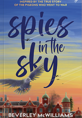 spy sky front cover.png