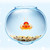 Thumbnail: Goldfish Vtube