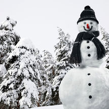 How to Build a Snowman: 5 Tips for Perfection