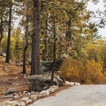       Thanksgiving at Big Bear Lake