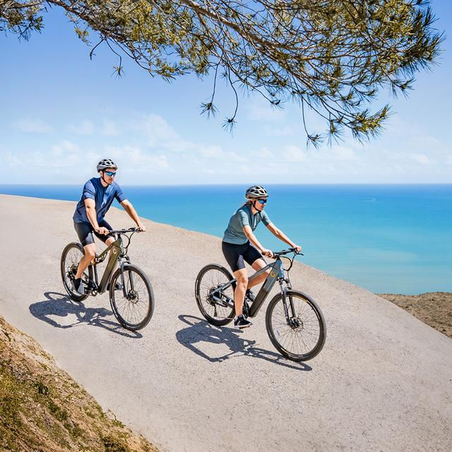 Miniatura: Bicicleta eléctrica Mountain Supreme