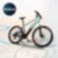 Bicicleta eléctrica Mountain Ventus