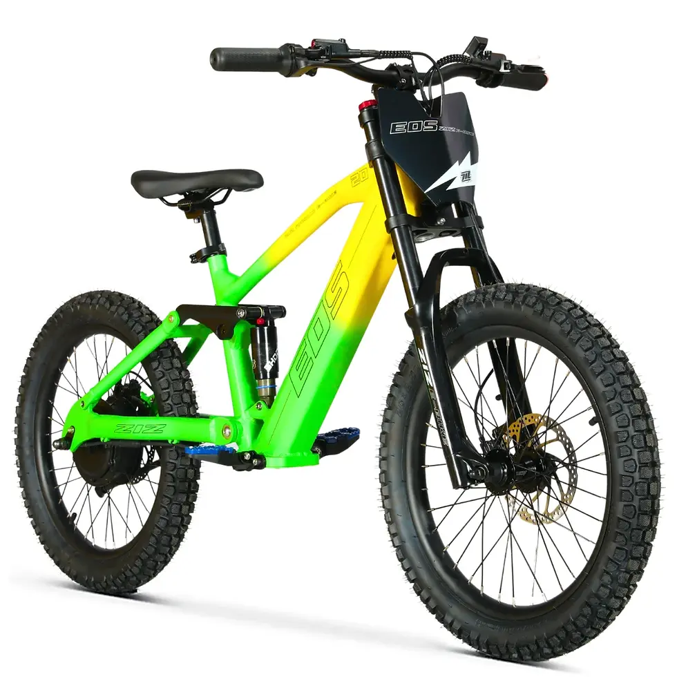 Miniatura: Bicicleta eléctrica EOS-20 ZIZ.RACING