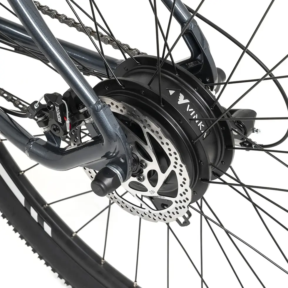 Miniatura: Bicicleta eléctrica Youin Everest