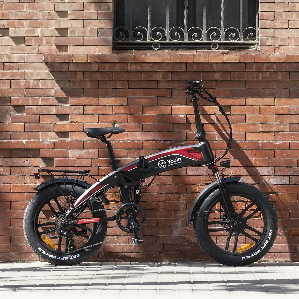 Miniatura: Bicicleta eléctrica Youin Dakar