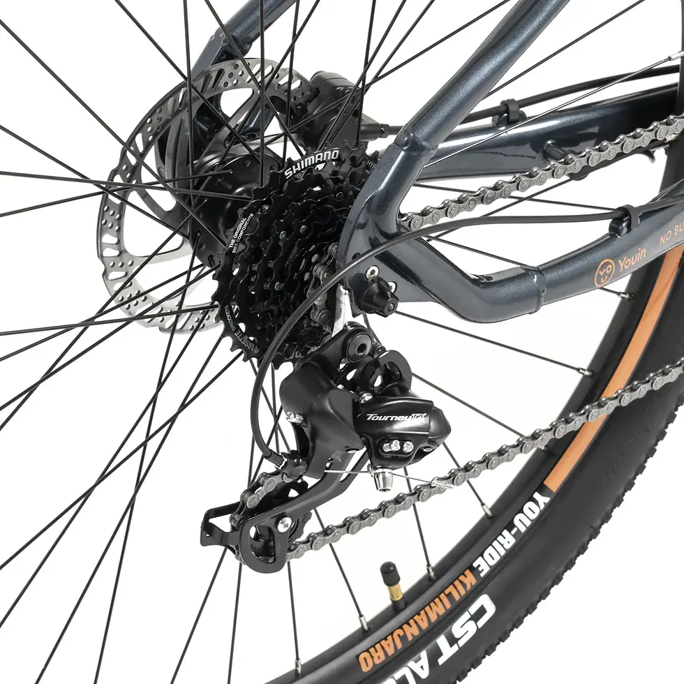 Miniatura: Bicicleta eléctrica Youin Kilimanjaro