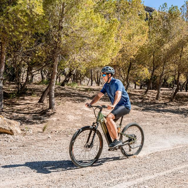 Miniatura: Bicicleta eléctrica Mountain Supreme