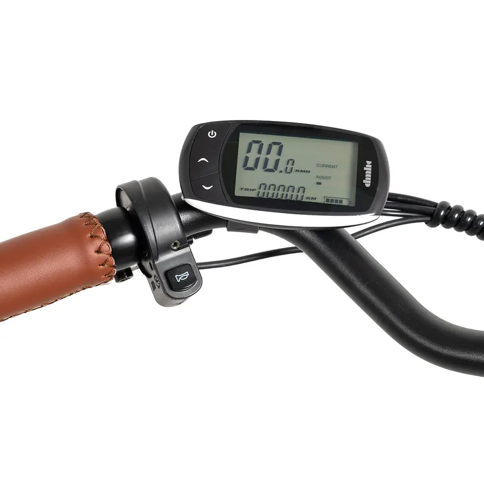 Miniatura: Bicicleta eléctrica Youin Los Angeles