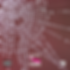 8425845925783-1024x1024