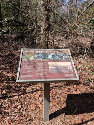An educational sign in the woods about trees