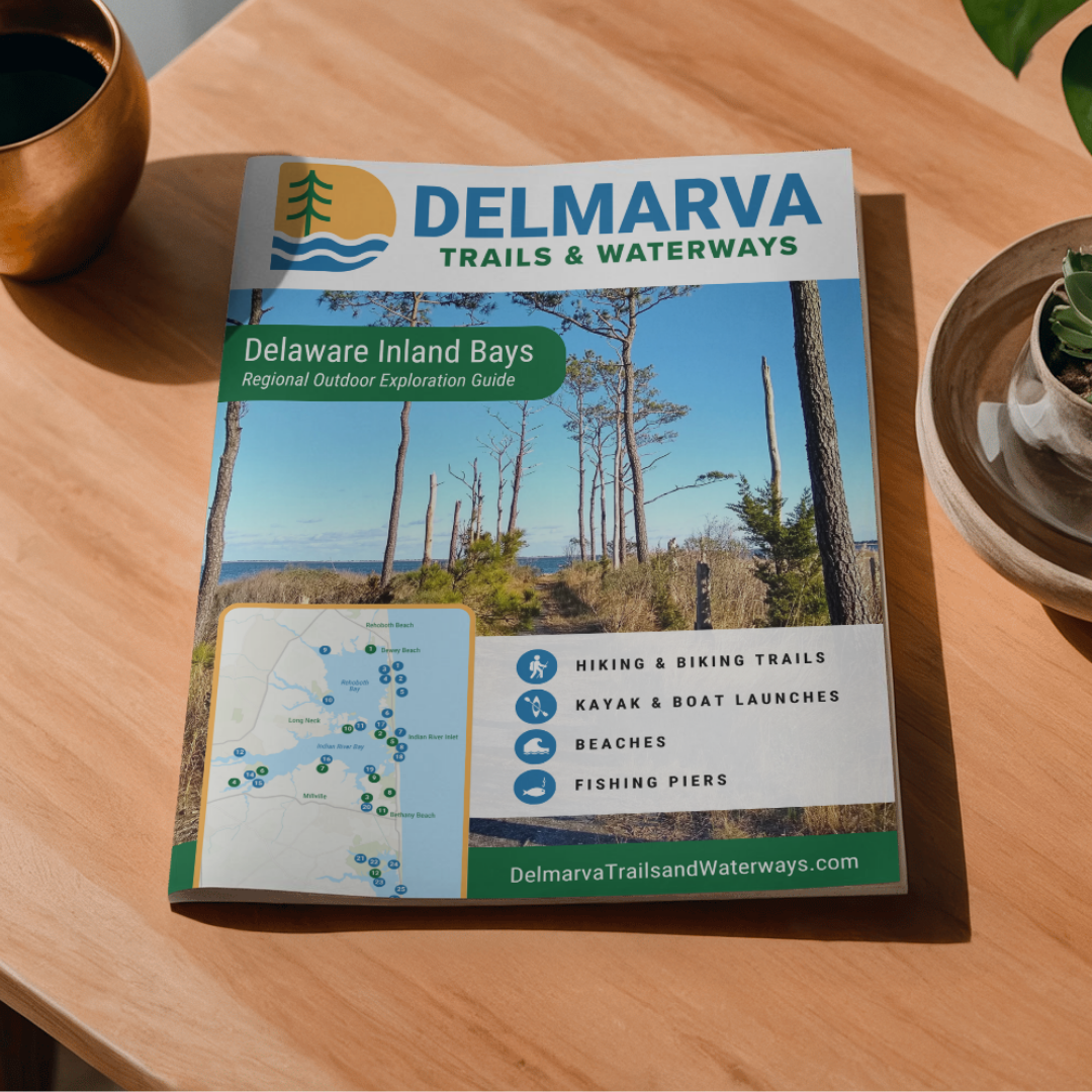 Delaware Inland Bays - Regional Exploration Guide