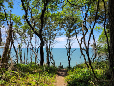 Hiking Trails of the -sometimes forgotten- Eastern Shore of Virginia