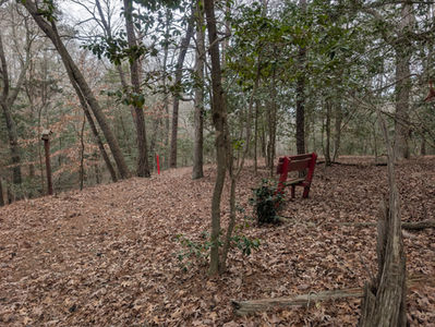 Parks & Recreation Surveys and Comprehensive Plans