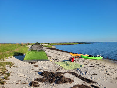 a tent and two kayaks sit on a sandy beach next to marsh and a calm body of water