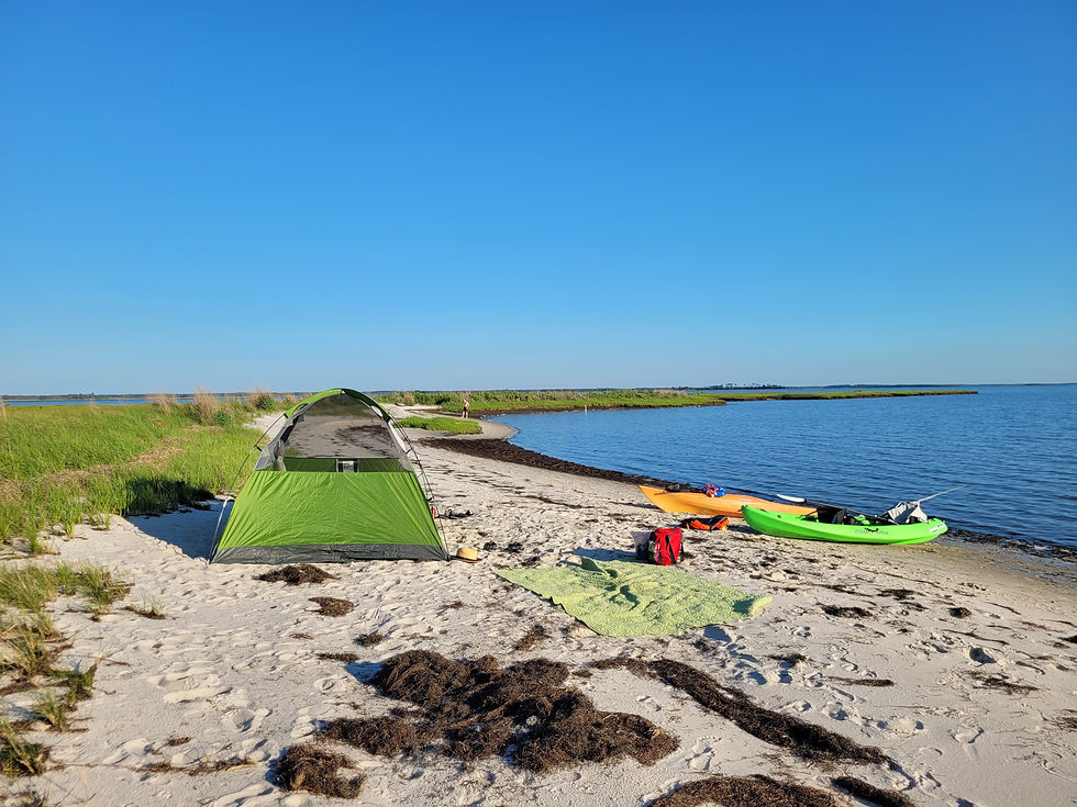 a tent and two kayaks sit on a sandy beach next to marsh and a calm body of water