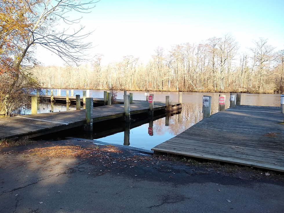 a narrow boat ramp with wooden piers leading to a narrow river with trees alonside the river
