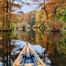 the bow of a kayak floats on a pond surrounded with fall foliage