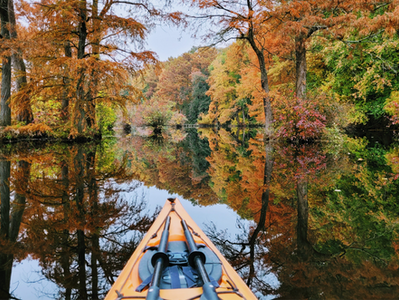 Fall Paddling at Trap & Trussum Ponds