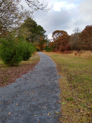 a pedestrian bridge on a trail passing through trees in early fall