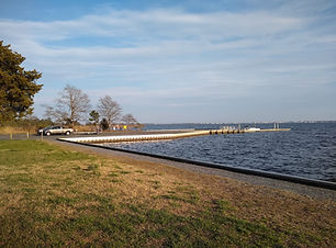 Assawoman Wildlife Area: Mulberry Landing