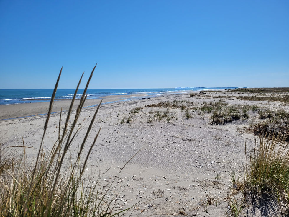 Cedar Island, Virginia