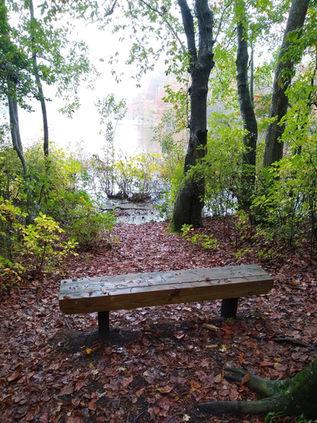 a bench overlooking part of trap pond