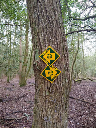 Two trail markers nailed to a tree