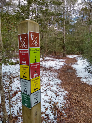 A trail marker showing different trails going in different directions next to a path in the woods