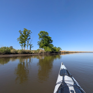 the bow of a kayak points toward a few trees on the edge of the marsh against a blue sky