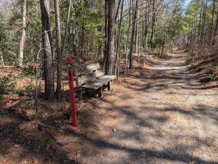 A red trail marker and a wooden bench on the side of a dirt path in the woods