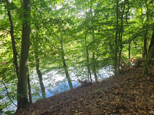 view of a creek or pond from a wooded ridge
