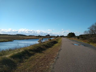A paved road with a Creek to the left and a few trees on the right against a big blue sky