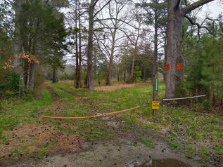 A gate on the side of the road with a path behind it