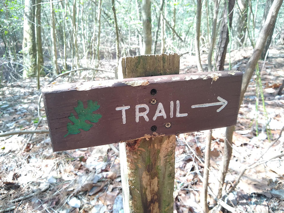 a wooden sign with the TNC logo, "trail", and an arrow to the right