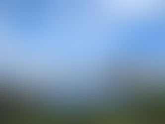 a shed sits on the edge of a marsh creek against a blue sky with white clouds