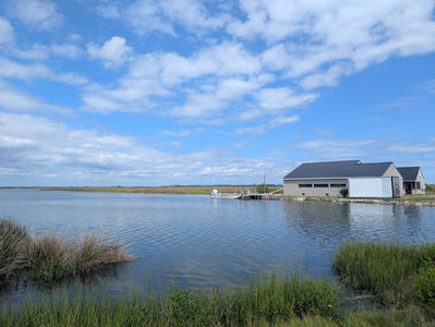 a shed sits on the edge of a marsh creek against a blue sky with white clouds