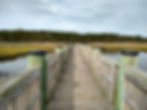 a long dock with railings at the isle of wight nature park with trees in the background, one of the beaches and piers on maryland's coast