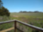 the view from an observation deck overlooking an expansive salt marsh and trees on the horizon