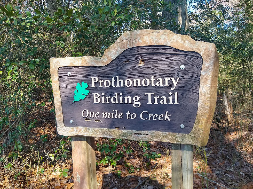 Prothonotary Birding Trail