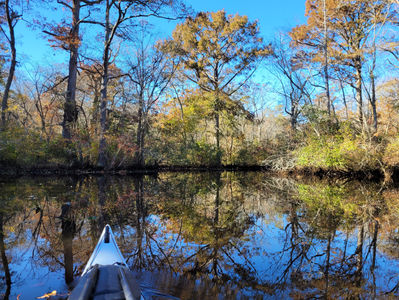 Nassawango Creek Preserve by Land and by Water