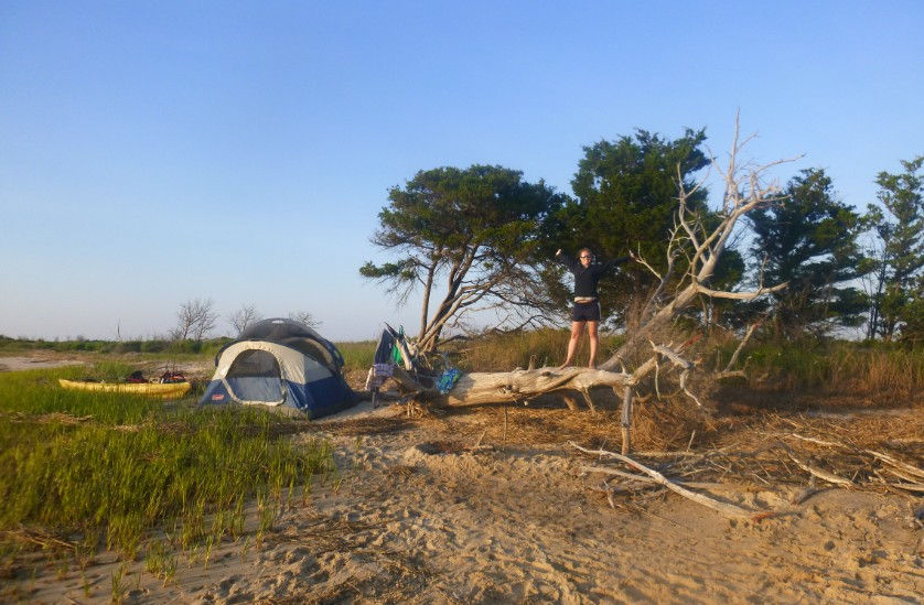 a tent and a kayak sit on a sandy beach with a few dead and live trees around