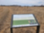an educational sign entitled "habitat for declining wildlife" is posted in a grassy meadow against gray skies