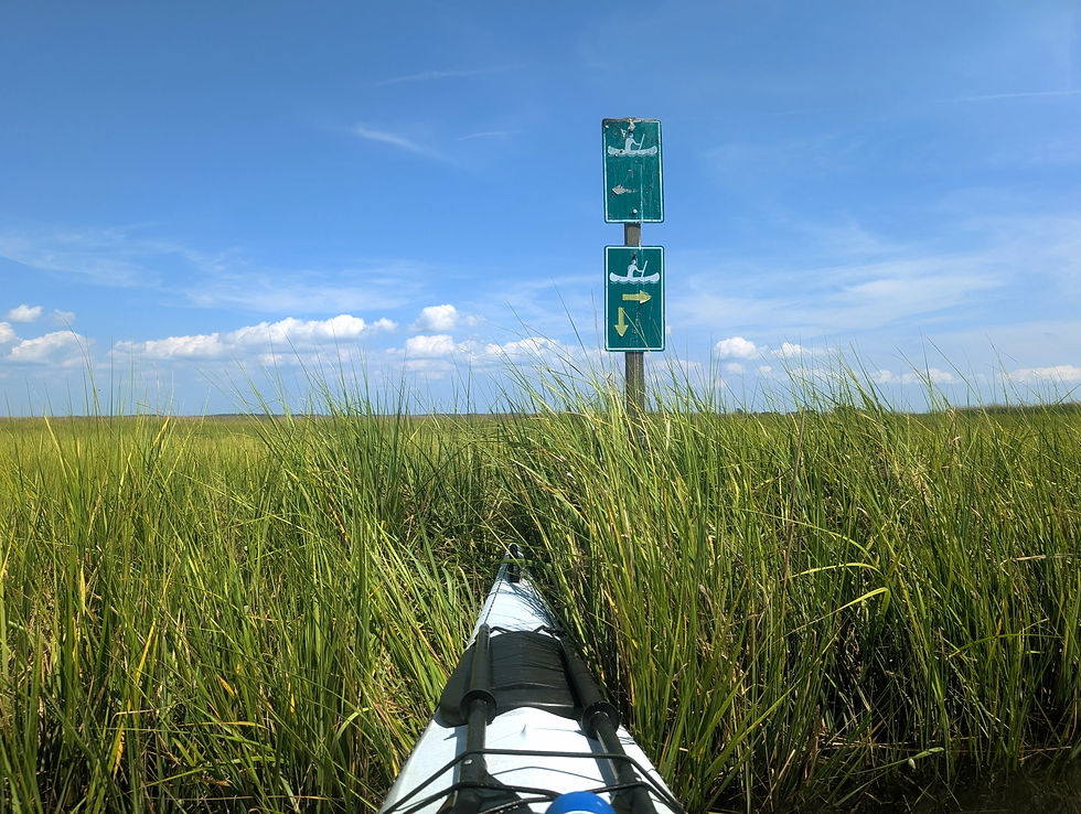 the bow of a kayak sits on the edge of marsh grass with a sign above it with arrows