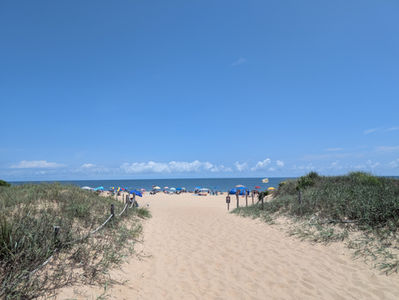 a sandy pathway leads to a beach with people and umbrellas