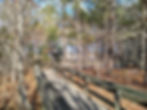 a raised boardwalk with railings passes through the woods