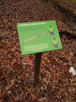 A sign in the woods showing how to do an exercise