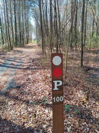 A trail marker in the woods showing the white trail and the red trail